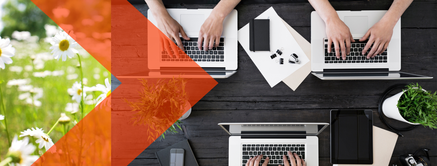 An image of daisies in a field next to an image of a three people on laptops at one table. 